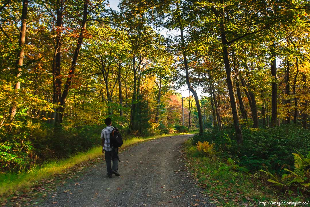 sams point carriage road